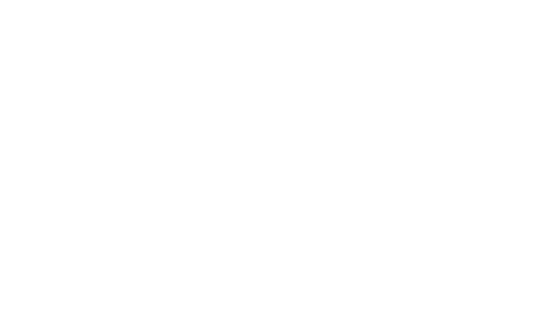 Trans Inclusive Statement